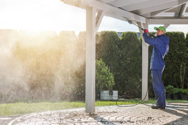 Best Sidewalk and Walkway Cleaning  in New Cassel, NY